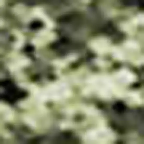 Rust Green And Gold Abstract Washable Area Rug With UV Protection Photo 2