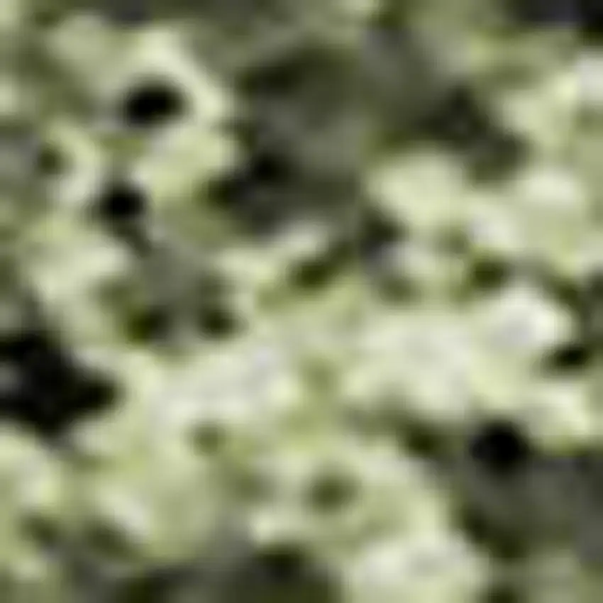 Rust Green And Gold Abstract Washable Area Rug With UV Protection Photo 2