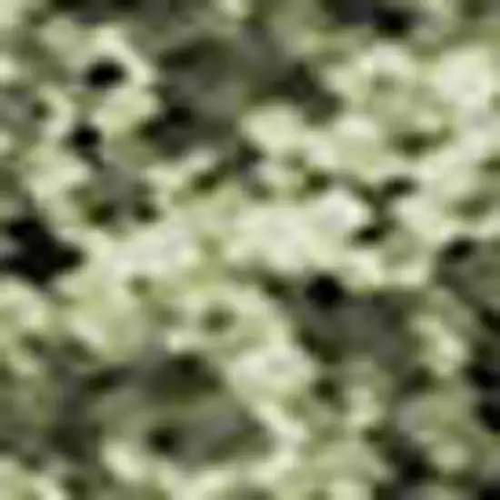 Rust Green And Gold Abstract Washable Area Rug With UV Protection Photo 2