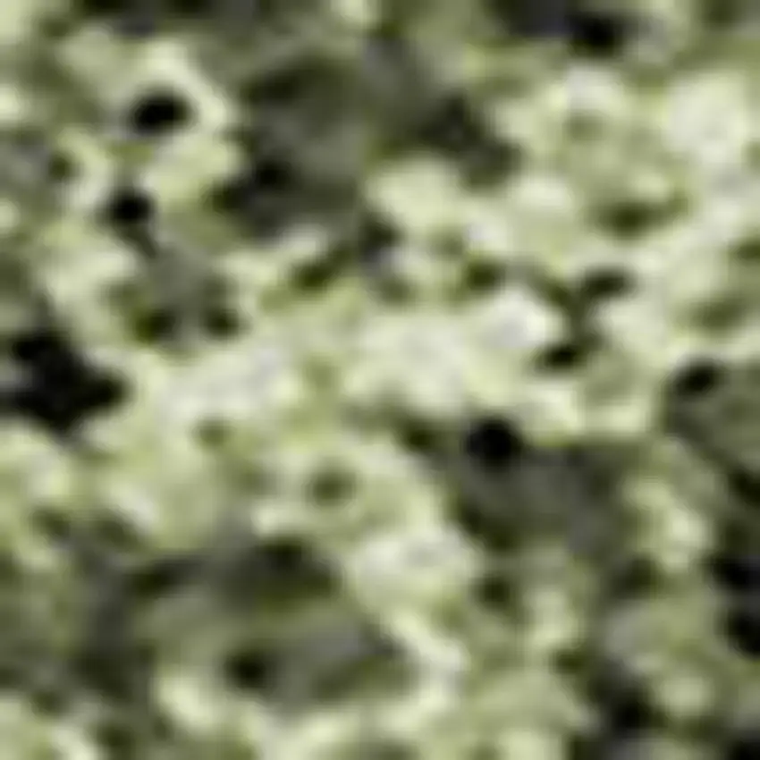 Rust Green And Gold Abstract Washable Area Rug With UV Protection Photo 2