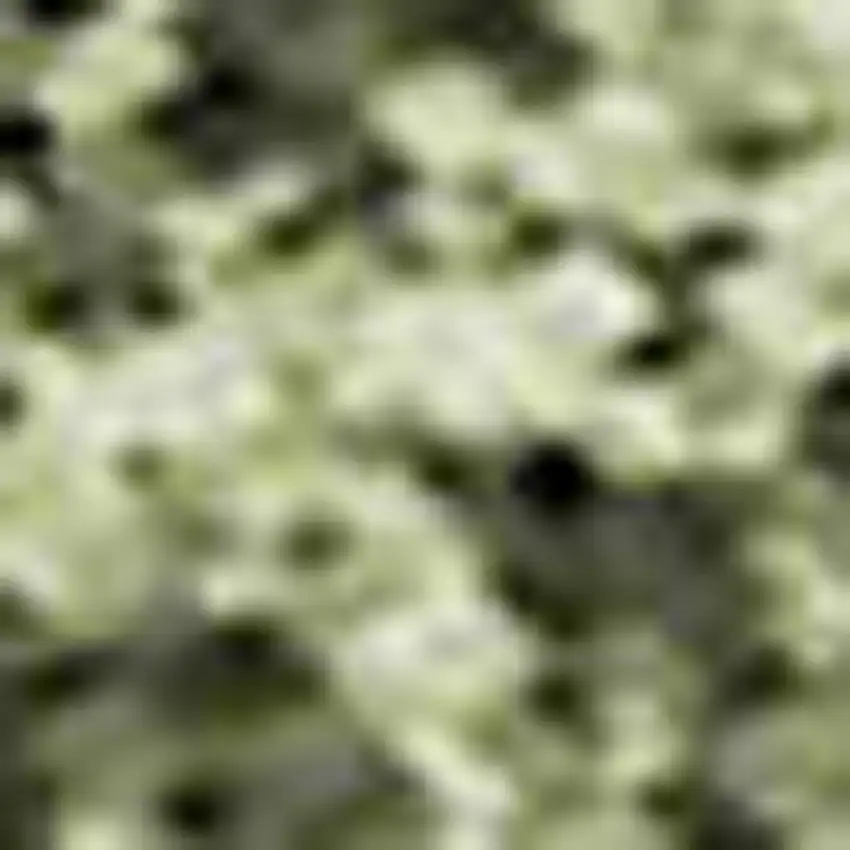 Rust Green And Gold Abstract Washable Area Rug With UV Protection Photo 2