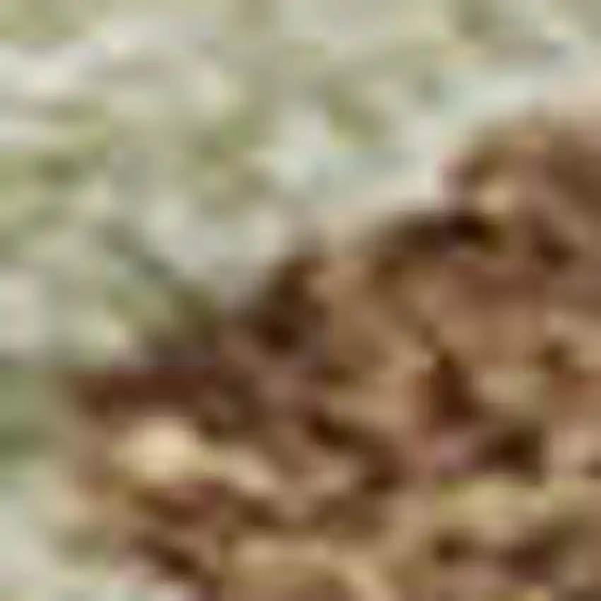 Rust Green And Gray Abstract Washable Area Rug With UV Protection Photo 2