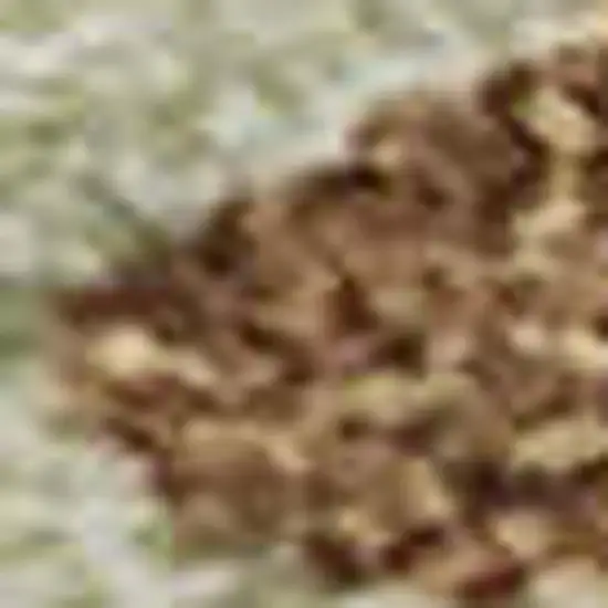 Rust Green And Gray Abstract Washable Area Rug With UV Protection Photo 4