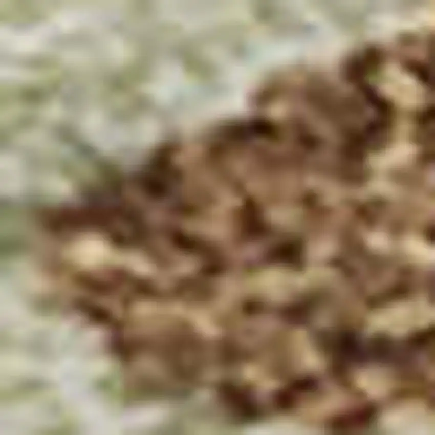 Rust Green And Gray Abstract Washable Area Rug With UV Protection Photo 4