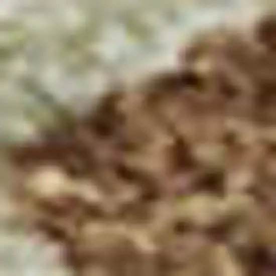 Rust Green And Gray Abstract Washable Area Rug With UV Protection Photo 2