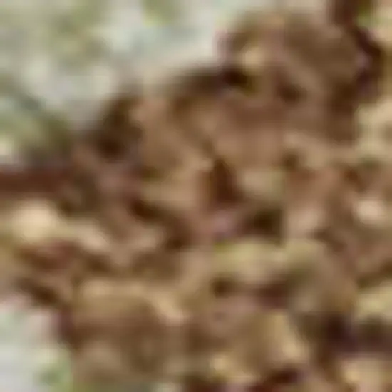 Rust Green And Gray Abstract Washable Area Rug With UV Protection Photo 2