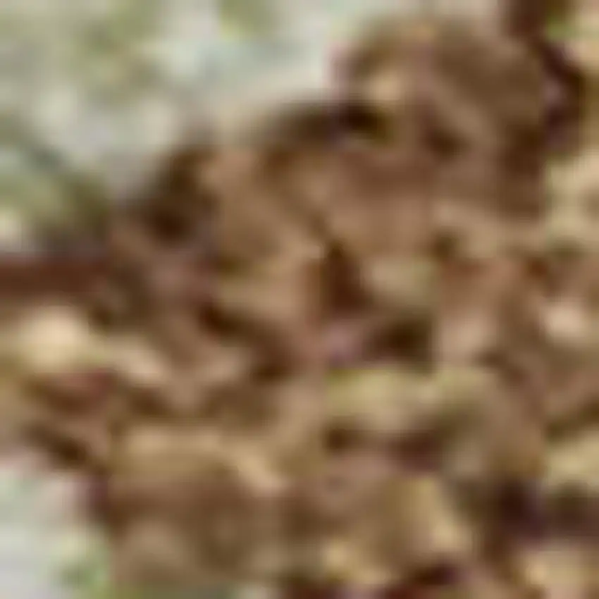 Rust Green And Gray Abstract Washable Area Rug With UV Protection Photo 2