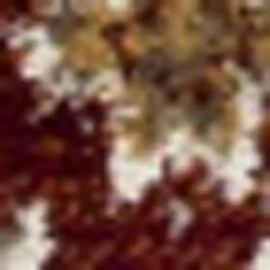 Rust And Ivory Oriental Area Rug Photo 9