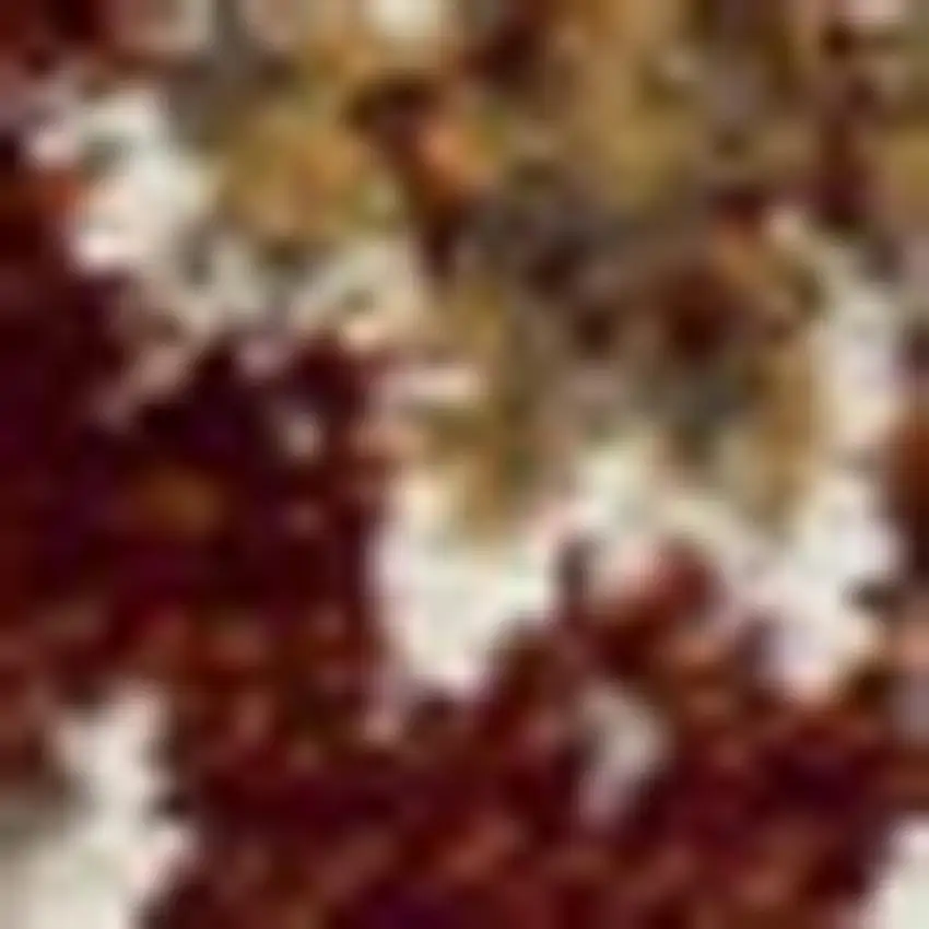 Rust And Ivory Oriental Area Rug Photo 9