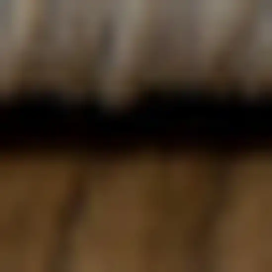 Rust And Ivory Oriental Area Rug Photo 4