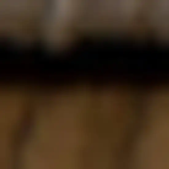 Rust And Ivory Oriental Area Rug Photo 3