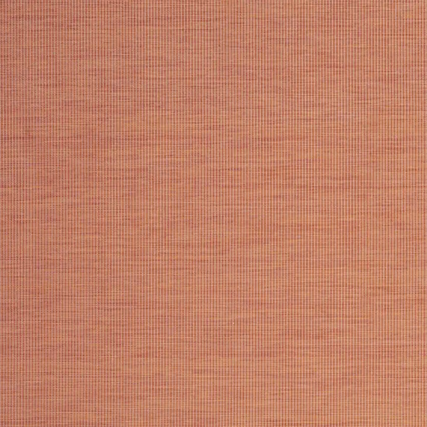 Terracotta Indoor Outdoor Area Rug Photo 4