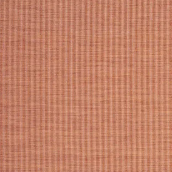 Terra Cotta Indoor Outdoor Area Rug Photo 4