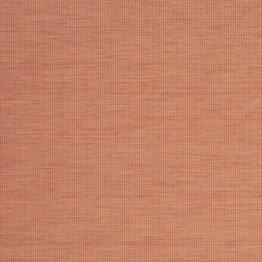 Terra Cotta Indoor Outdoor Area Rug Photo 4
