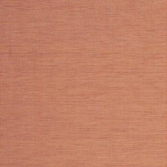 Terracotta Indoor Outdoor Area Rug Photo 8