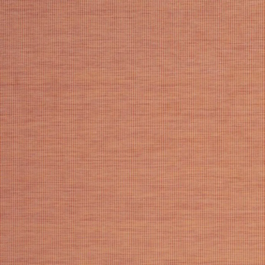 Terracotta Indoor Outdoor Area Rug Photo 8