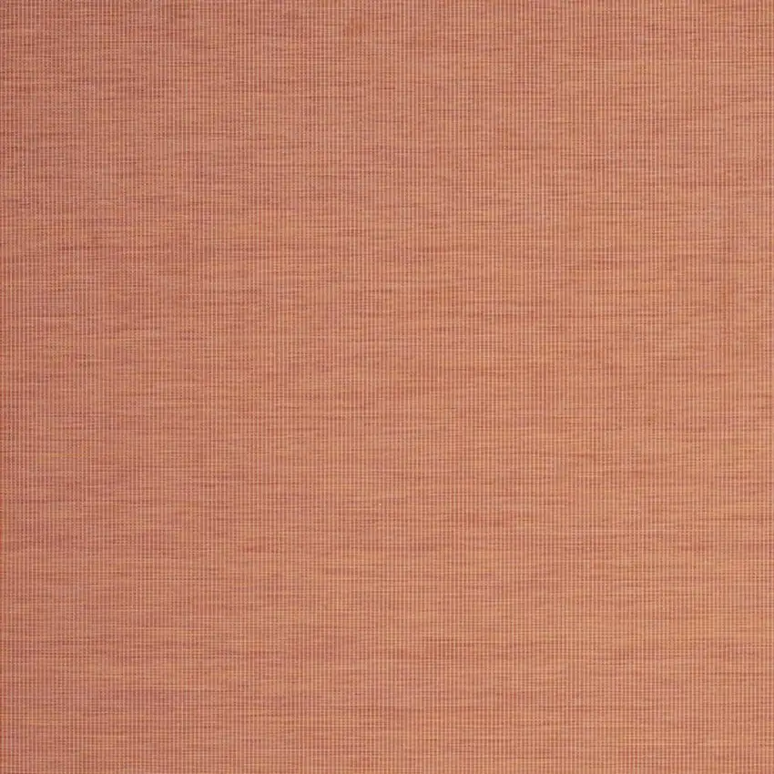 Terracotta Indoor Outdoor Area Rug Photo 9