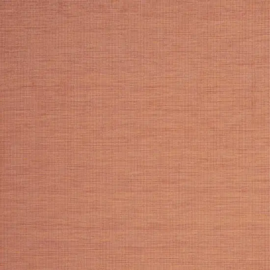 Terracotta Indoor Outdoor Area Rug Photo 9