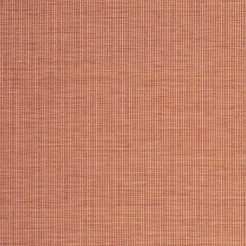 Terracotta Indoor Outdoor Area Rug Photo 4