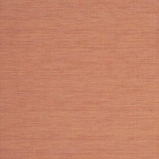 Terracotta Indoor Outdoor Area Rug Photo 8