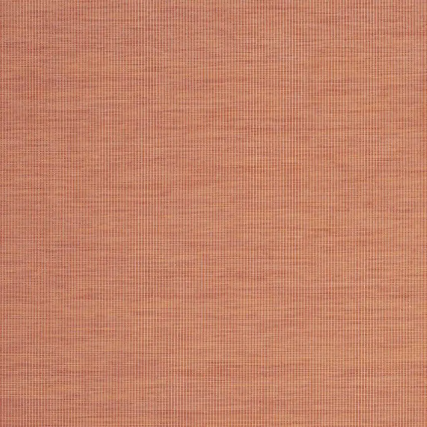 Terracotta Indoor Outdoor Area Rug Photo 8