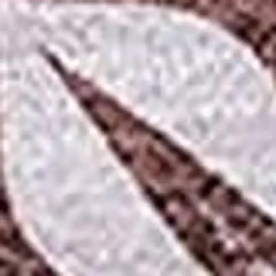 Rust Purple And Teal Medallion Washable Area Rug With UV Protection Photo 3