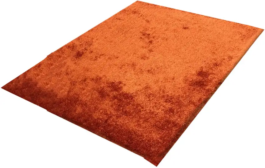 Rust Shag Hand Tufted Area Rug Photo 2