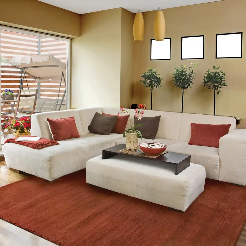 Rust Wool Hand Tufted Area Rug Photo 6