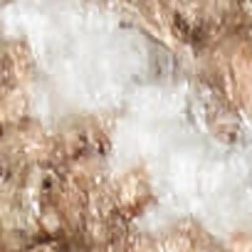 Rust and Ivory Floral Power Loom Worn Faded Area Rug Photo 3