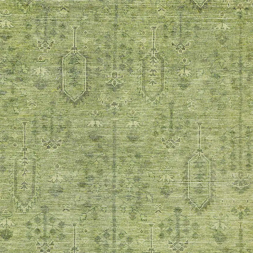 Sage And Artichoke Green Southwestern Washable Indoor Outdoor Area Rug Photo 6