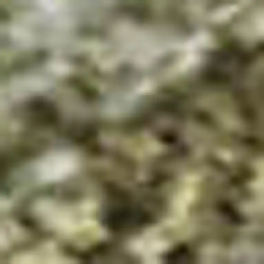 Sage And Beige Abstract Washable Area Rug With UV Protection Photo 1