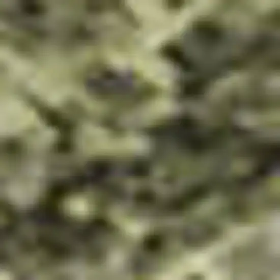 Sage And Beige Abstract Washable Area Rug With UV Protection Photo 1