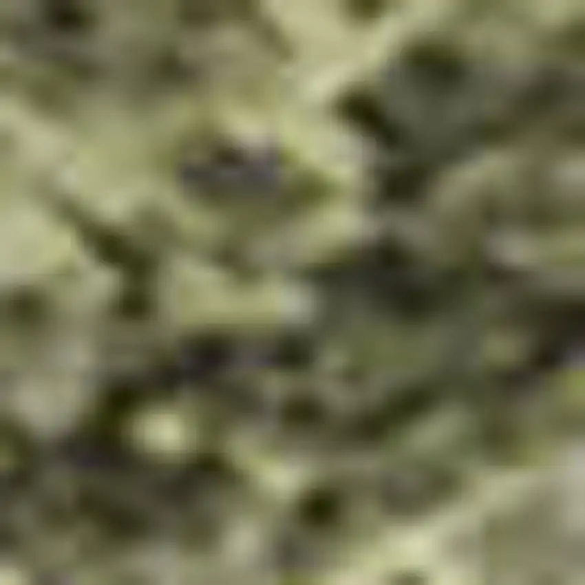 Sage And Beige Abstract Washable Area Rug With UV Protection Photo 1