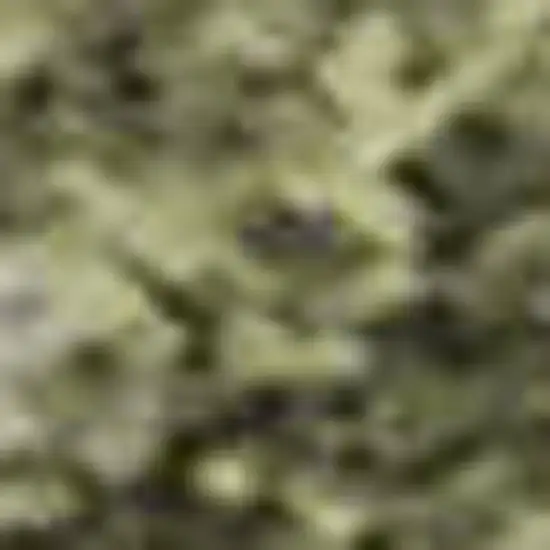 Sage And Beige Abstract Washable Area Rug With UV Protection Photo 1