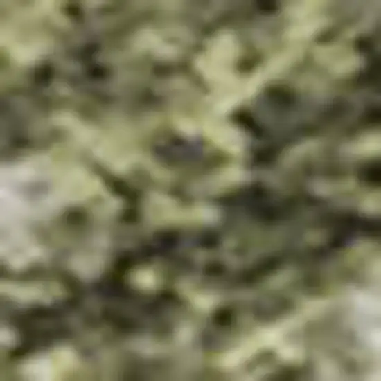 Sage And Beige Abstract Washable Area Rug With UV Protection Photo 3