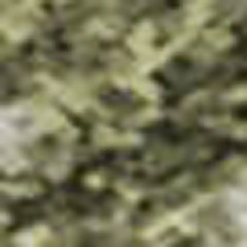 Sage And Beige Abstract Washable Area Rug With UV Protection Photo 3