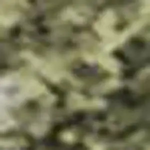 Photo of Sage And Beige Abstract Washable Area Rug With UV Protection