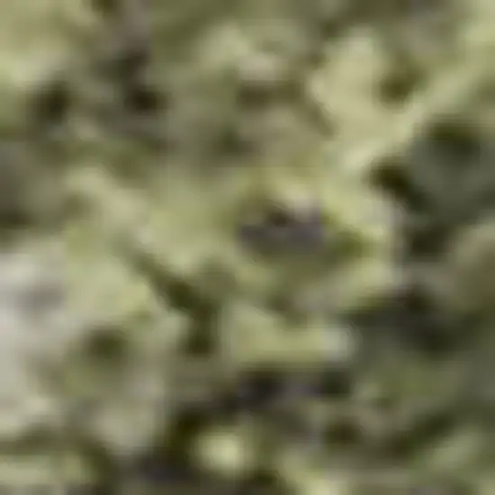 Sage And Beige Abstract Washable Area Rug With UV Protection Photo 1