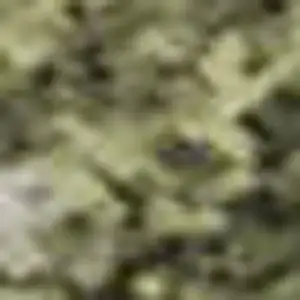 Photo of Sage And Beige Abstract Washable Area Rug With UV Protection