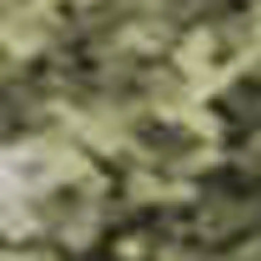 Sage And Beige Abstract Washable Area Rug With UV Protection Photo 1