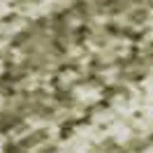 Photo of Sage And Beige Abstract Washable Area Rug With UV Protection