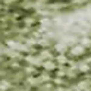 Photo of Sage And Beige Striped Washable Area Rug With UV Protection