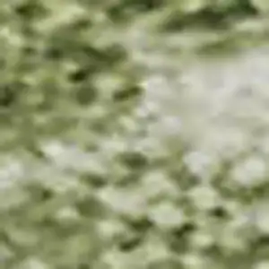 Photo of Sage And Beige Striped Washable Area Rug With UV Protection