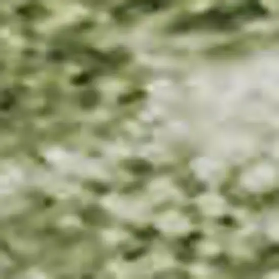 Sage And Beige Striped Washable Area Rug With UV Protection Photo 1