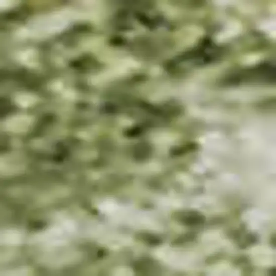 Sage And Beige Striped Washable Area Rug With UV Protection Photo 1