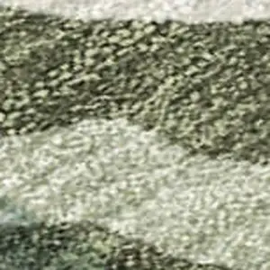 Photo of Sage And Beige Tribal Washable Indoor Outdoor Area Rug