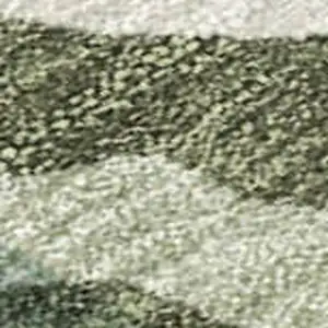 Photo of Sage And Beige Tribal Washable Indoor Outdoor Area Rug