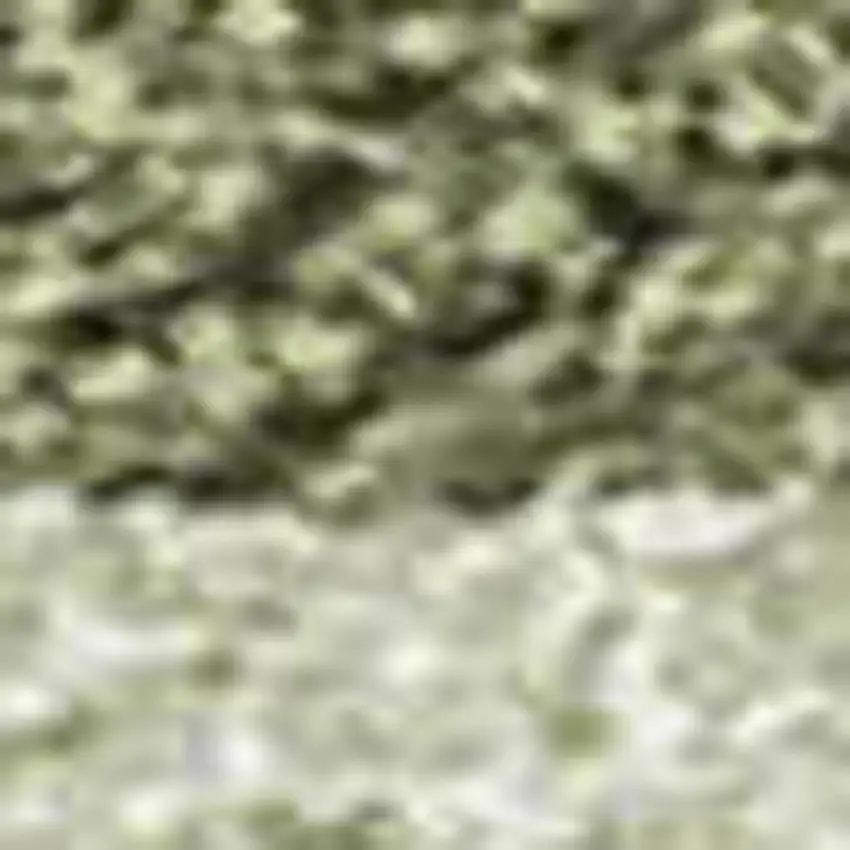 Sage And Green Striped Washable Indoor Outdoor Area Rug Photo 2
