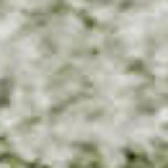 Sage And Ivory Abstract Washable Area Rug With UV Protection Photo 3