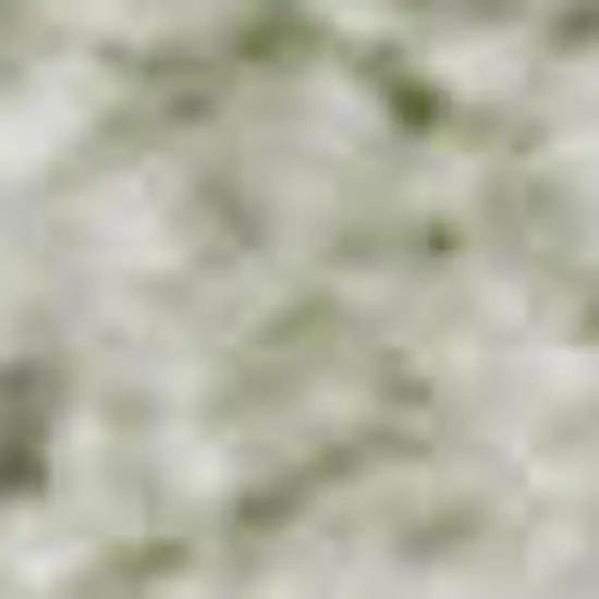 Sage And Ivory Abstract Washable Area Rug With UV Protection Photo 1